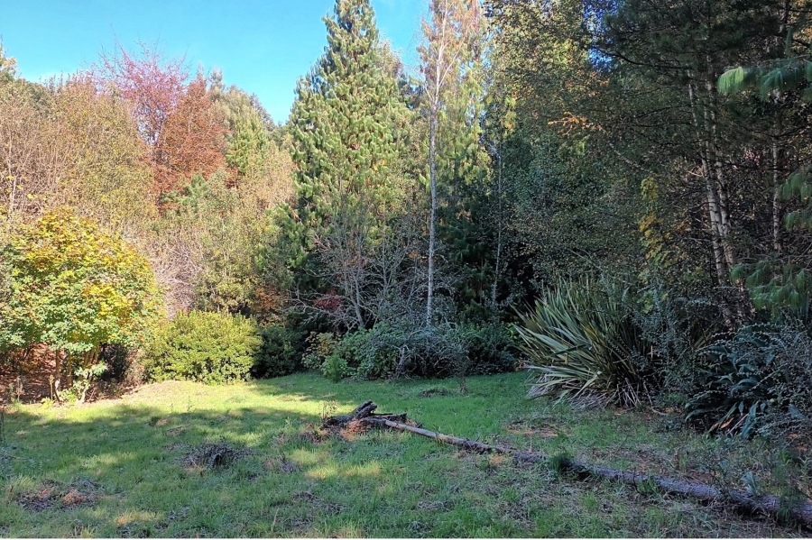 3 Bedroom Property for Sale in Hogsback Eastern Cape
